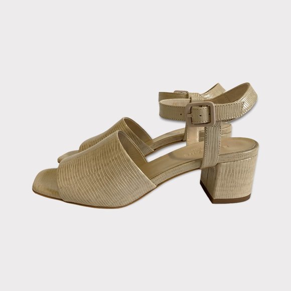Everlane Shoes - Everlane The Block Heel Sandals in Sand Lizard Size 6.5 NEW